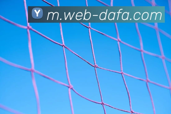 大发娱乐APP 体育赛事宣传图